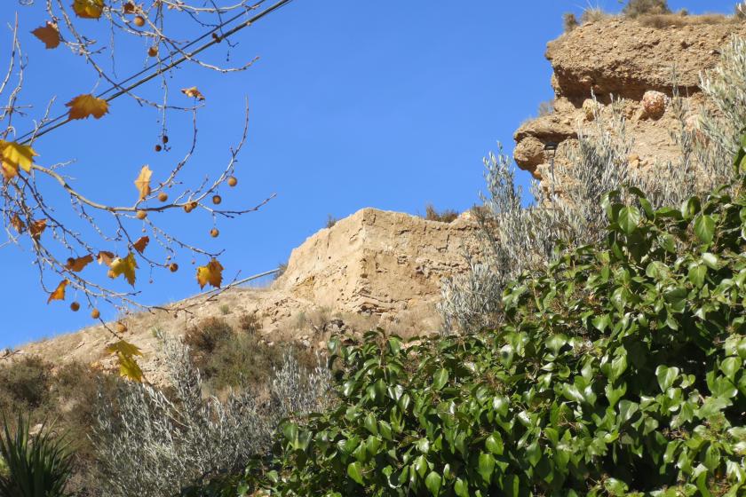 Castillo Pago de los Nietos