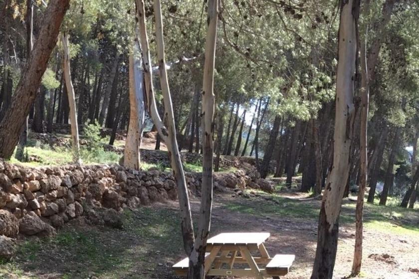 PARQUE PERIURBANO DE CASTALA