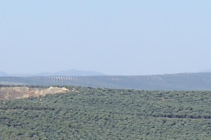 CASTILLO DE FELIX