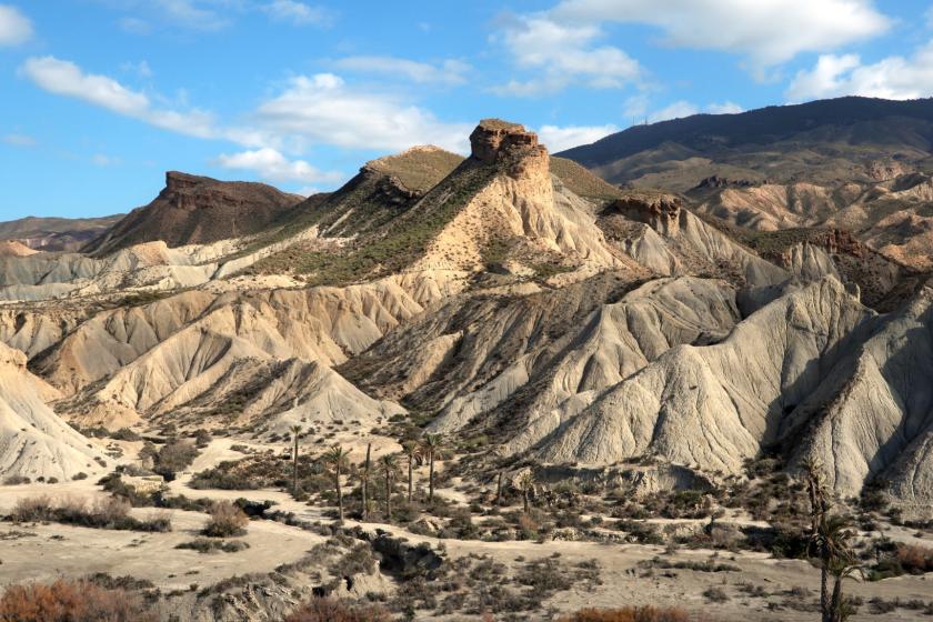 LLANO DEL BÚHO